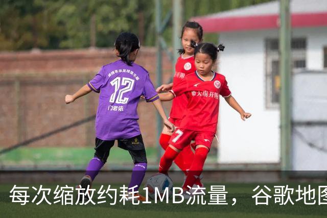 每次缩放约耗1MB流量，谷歌地图一年吃掉你多少数据？