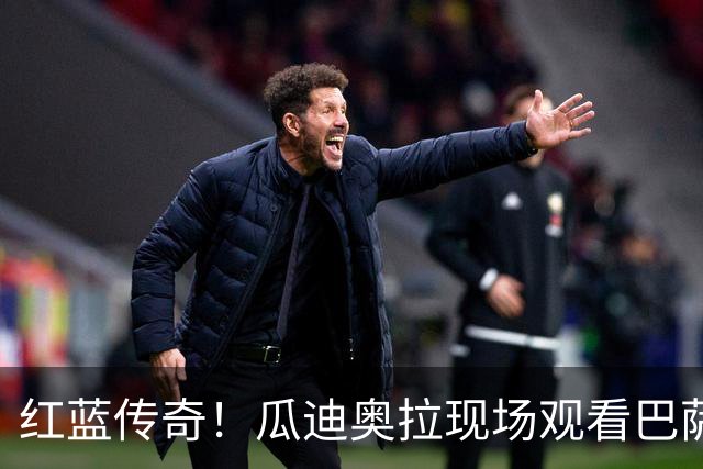 红蓝传奇！瓜迪奥拉现场观看巴萨男篮比赛